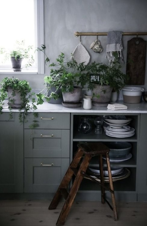 cozy kitchen